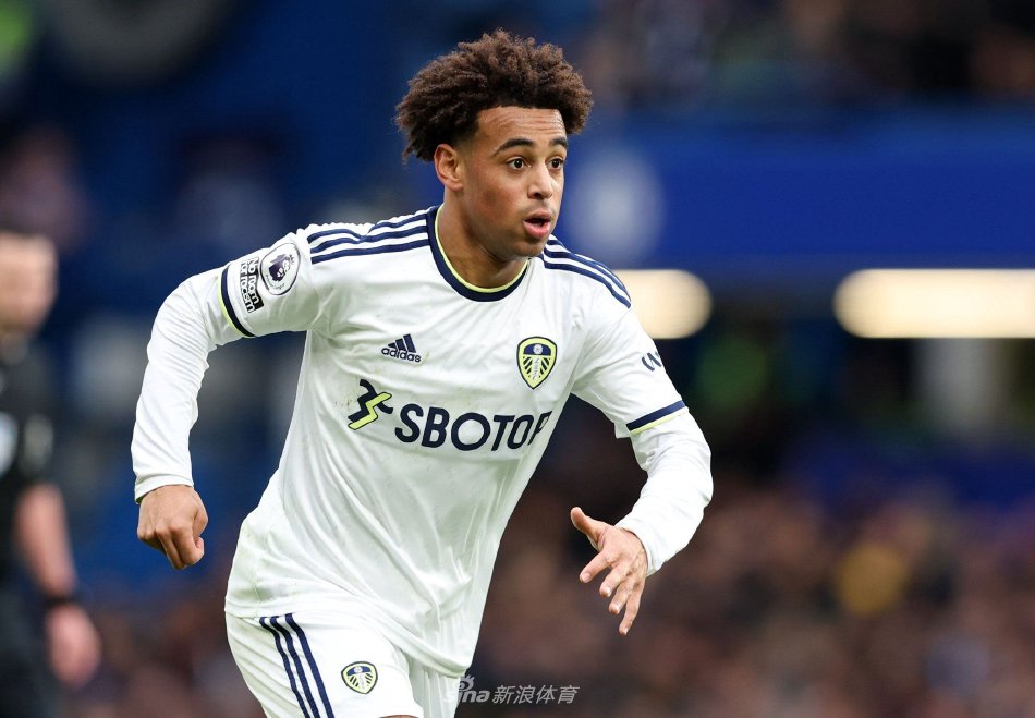 莱昂的决定 莱昂的决定